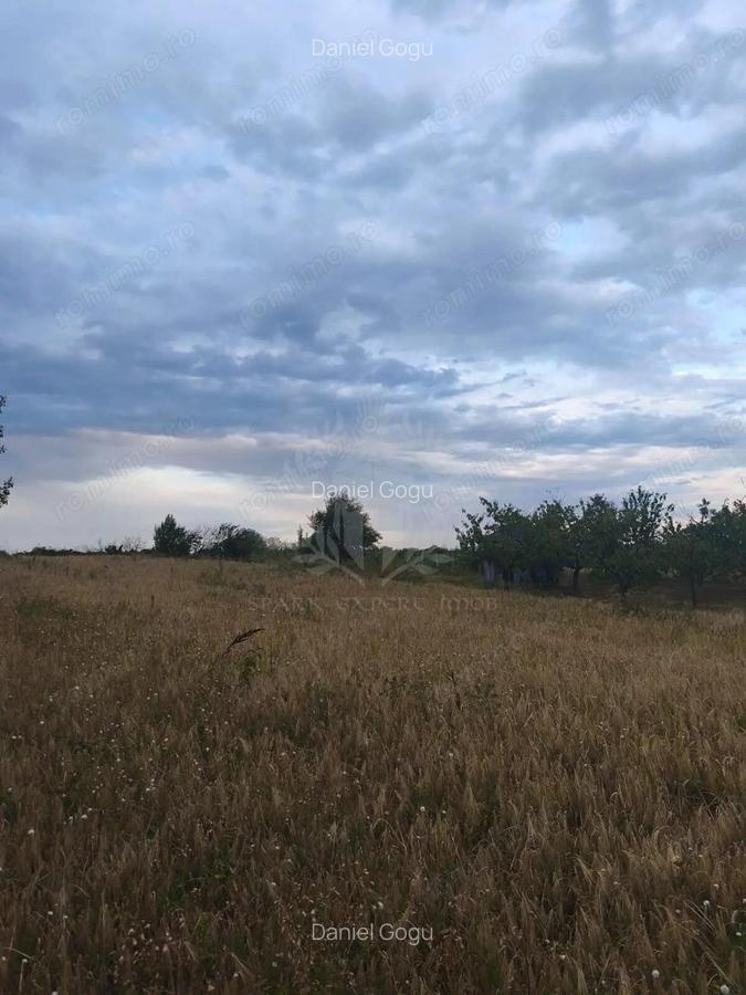 TEREN INTRAVILAN\\ZONA SPITALUL JUDETEAN PLOIESTI - 1