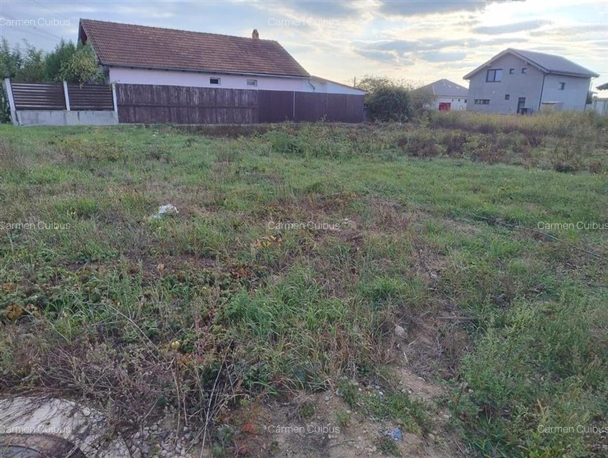 RECO Teren intravilan Apateu - 3