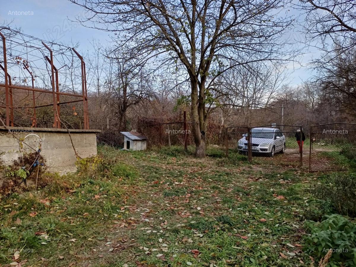 Vand casa Vrancea - 10