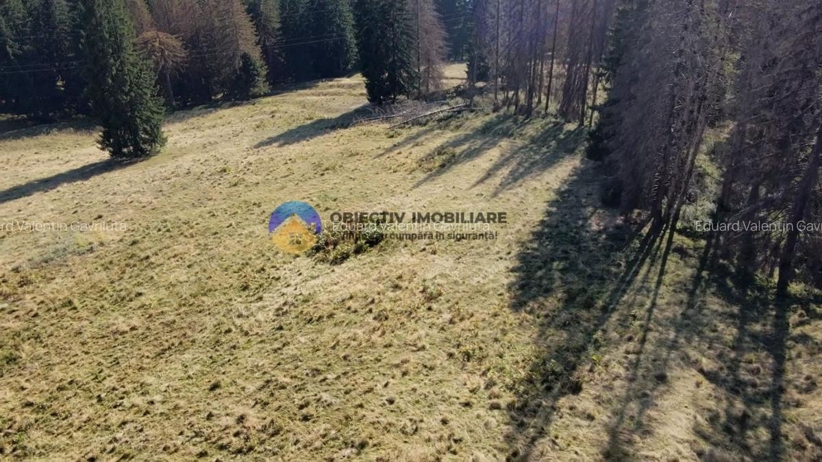Teren de vanzare 5000 mp - Piatra Neamt - 3