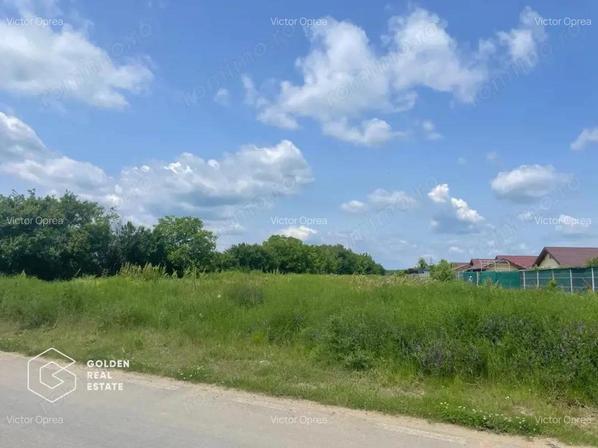 Teren intravilan, Balote?ti, Strada Cameliei 36, 10.000 mp - 3