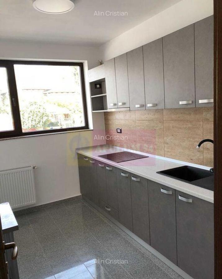 Vila de inchiriat Parcul Carol Budapesta Unirii - 10