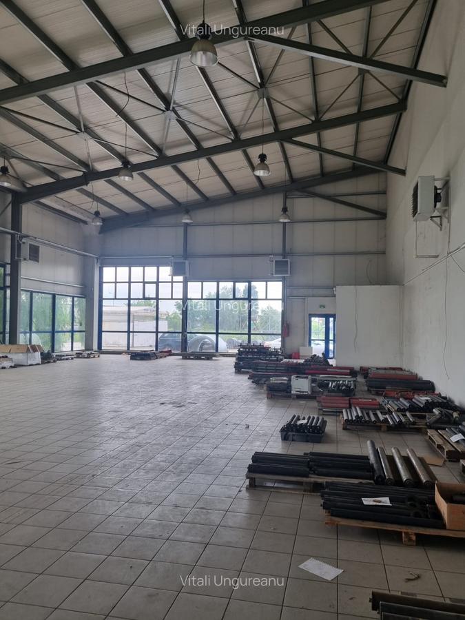 Afumati, showroom 550 mp la DN2 - 3