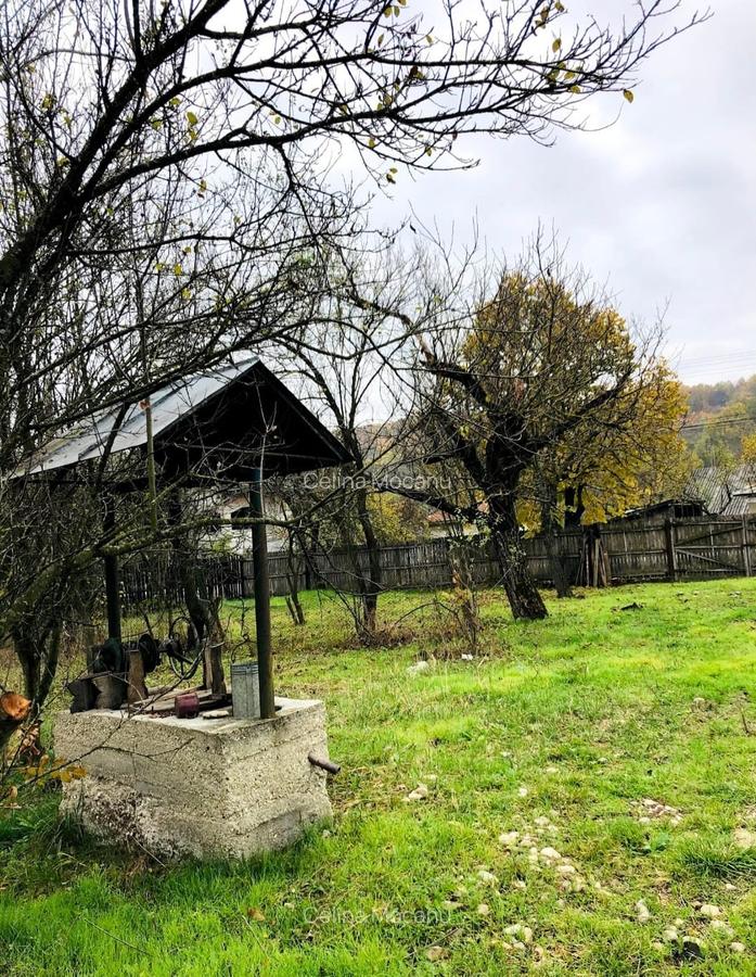 Teren intravilan 1570 mp in sat Magura (Hulubesti), Dambovita, deschidere 31ml - 1