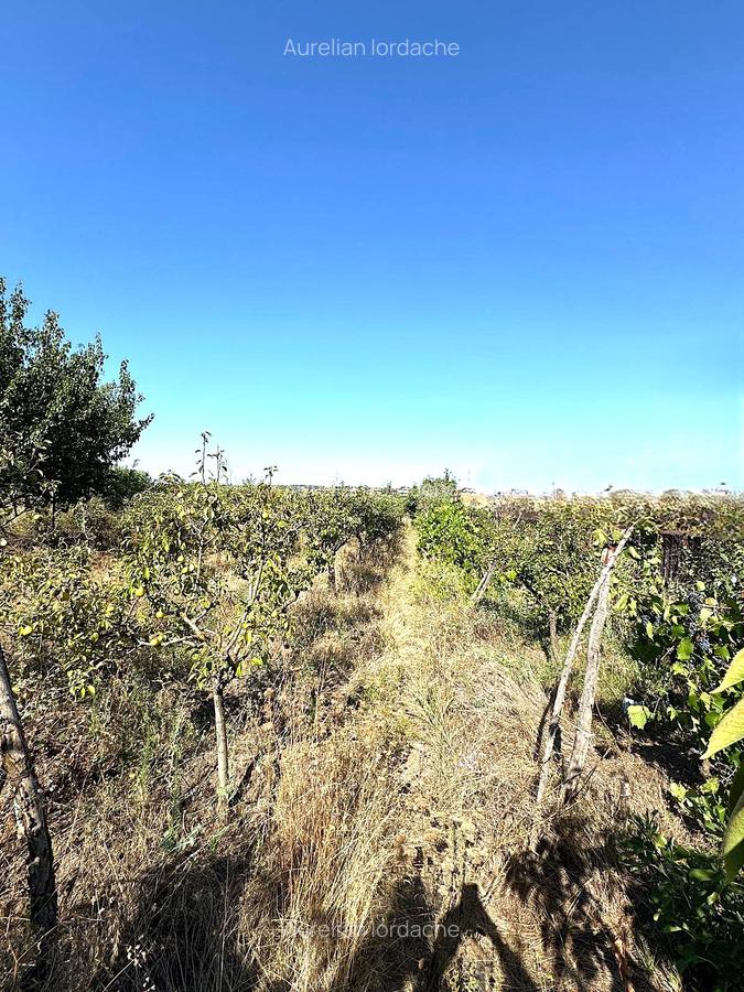 Cabana din lemn+ teren 2000 mp , 105.000 Euro negociabil, zona Metro - 4