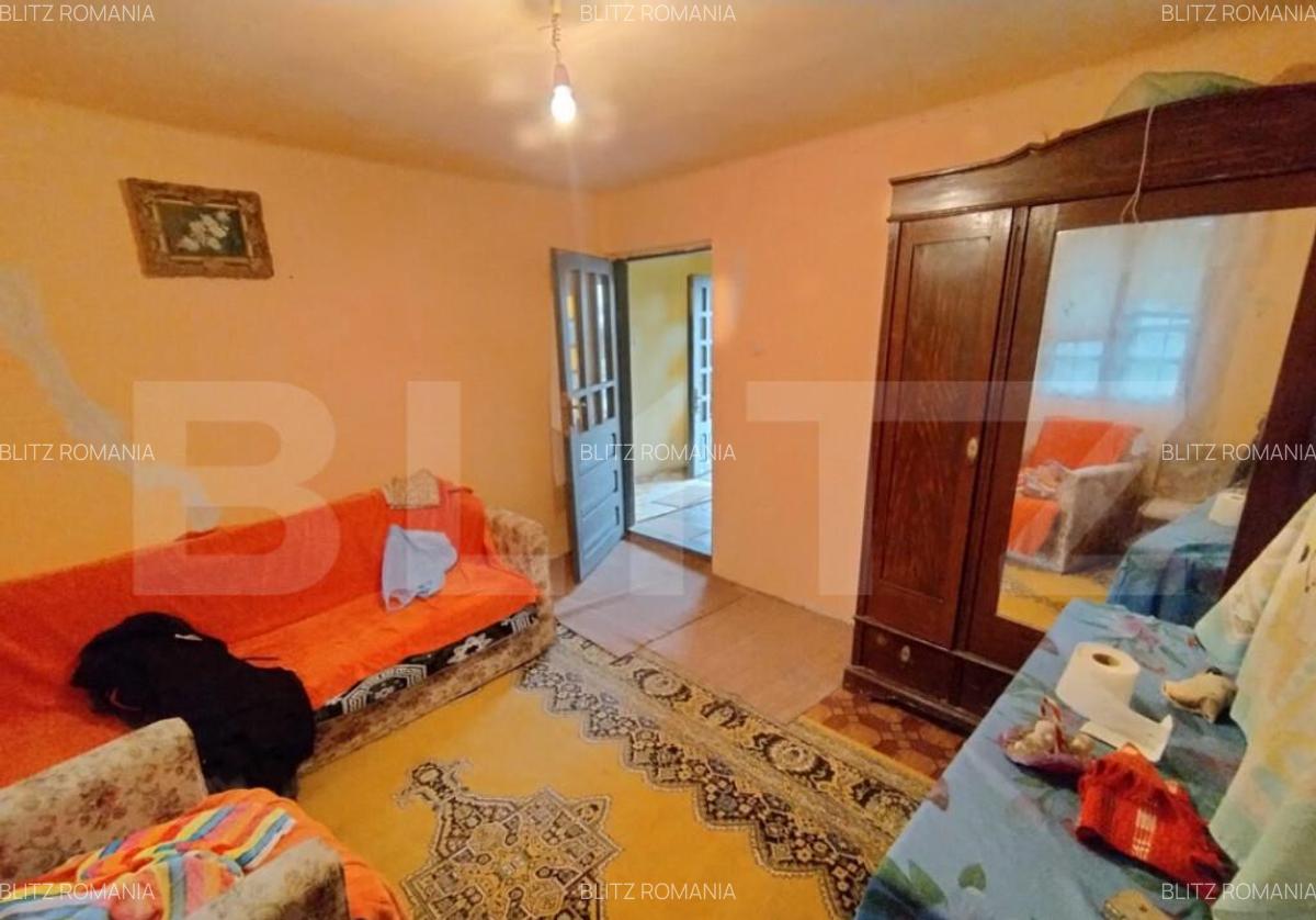 Casa de vanzare 800 mp curte, 32 mp utili, zona Exterior Sud - 10