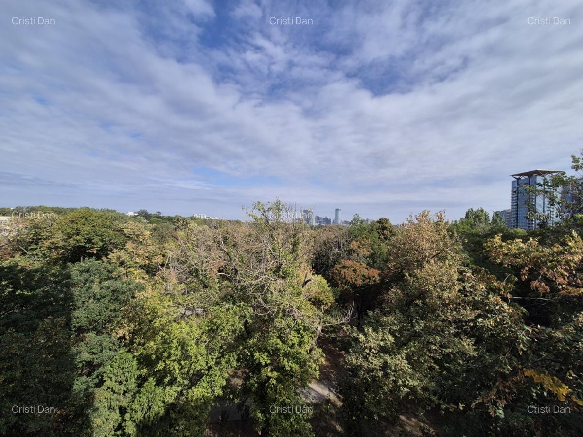 Beller apartament 3 camere, vedere spre parcul Floreasca - 2