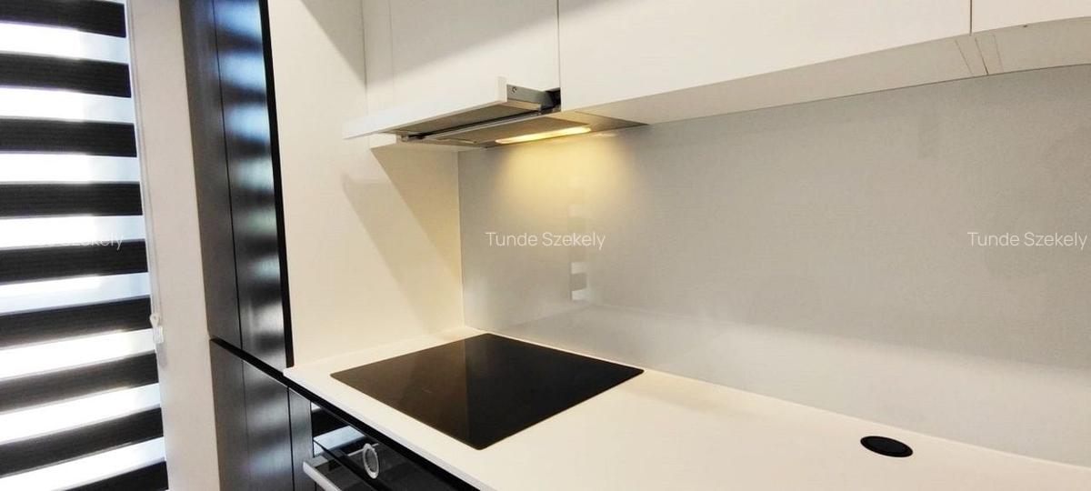 Apartament 2 camere, 54 mp util, et.1/5, ultrafinisat, Andrei Muresanu - 11