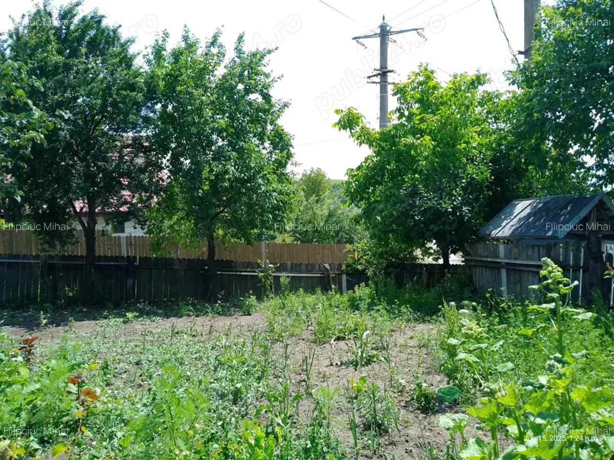 Casa batraneasca la tara - 3