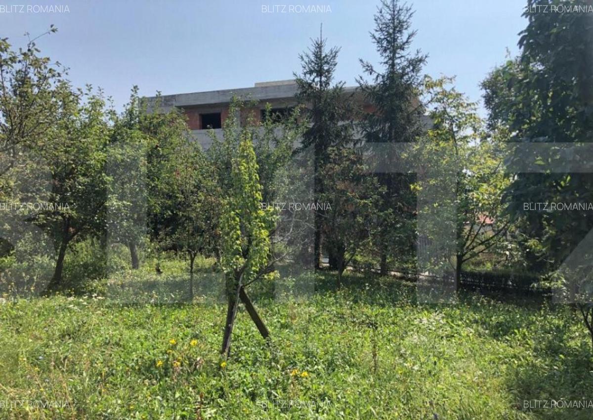 Teren intravilan 974 mp, zona dezvoltata de case, Dambu Rotu - 4
