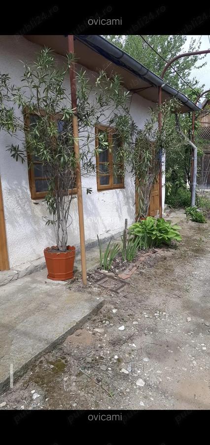 Casa centru Daneti, 80mp, curte si gradina 3.000 mp, apa + curent - 8