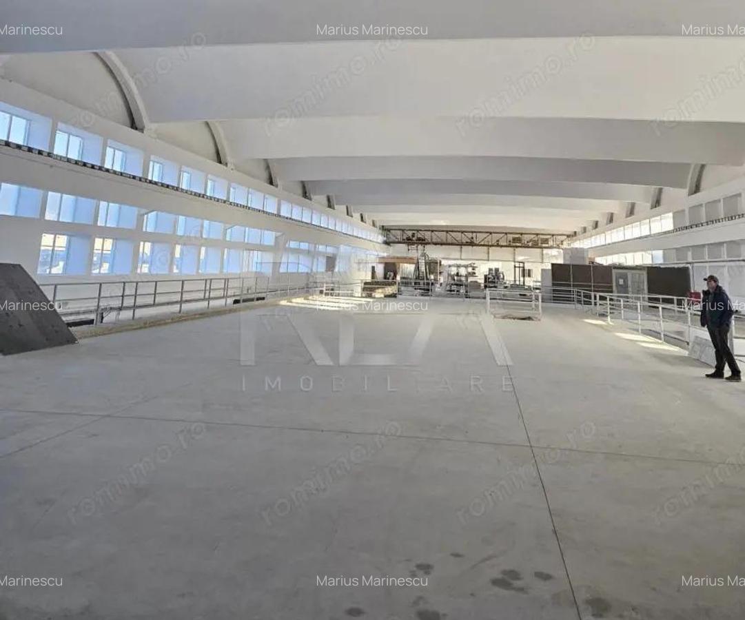Hala renovata zona industriala Jilava - 3