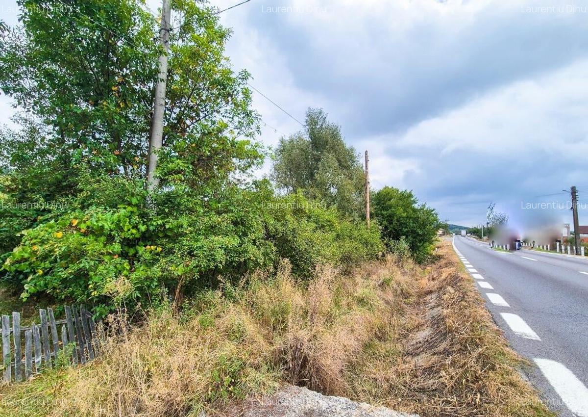 Teren 1,4 hectare Draganu Arges - 2