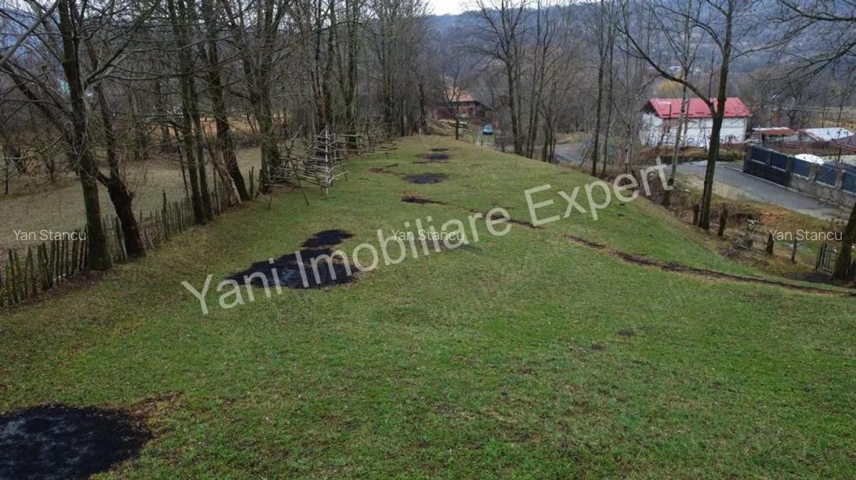 Teren de vanzare in comuna Arefu, jude? Arge?. - 3