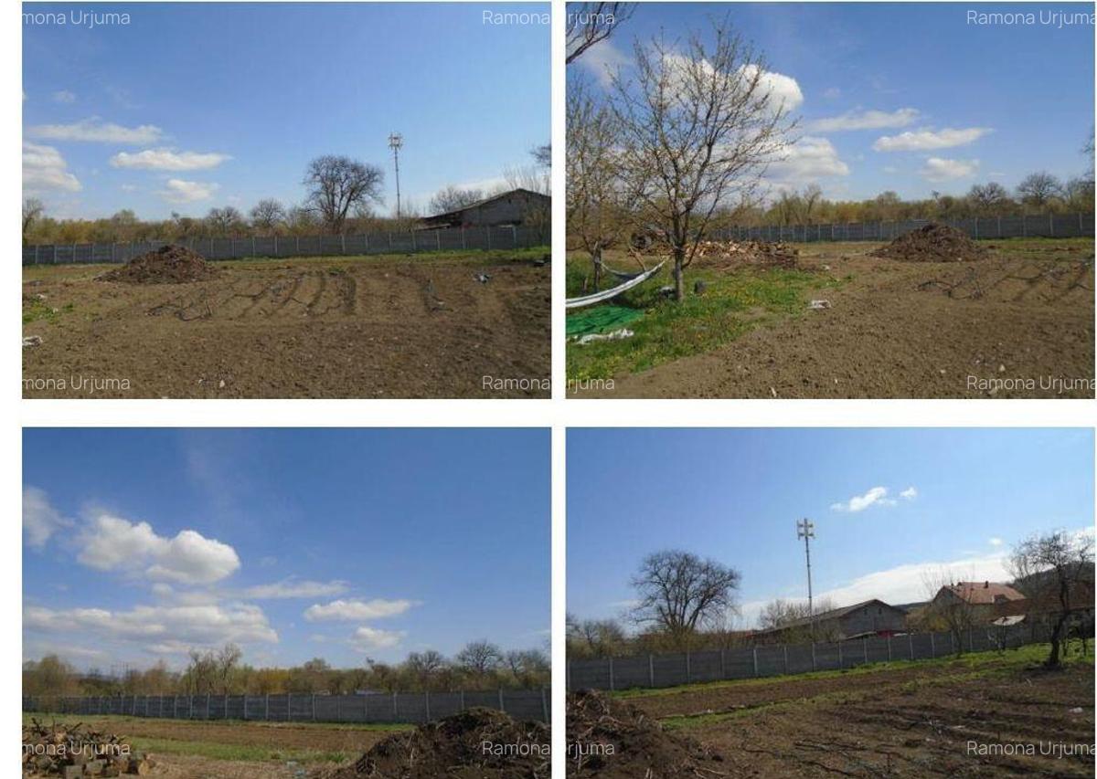 Teren intravilan Loc. Spini, comuna Turdas, jud. Hunedoara - 8