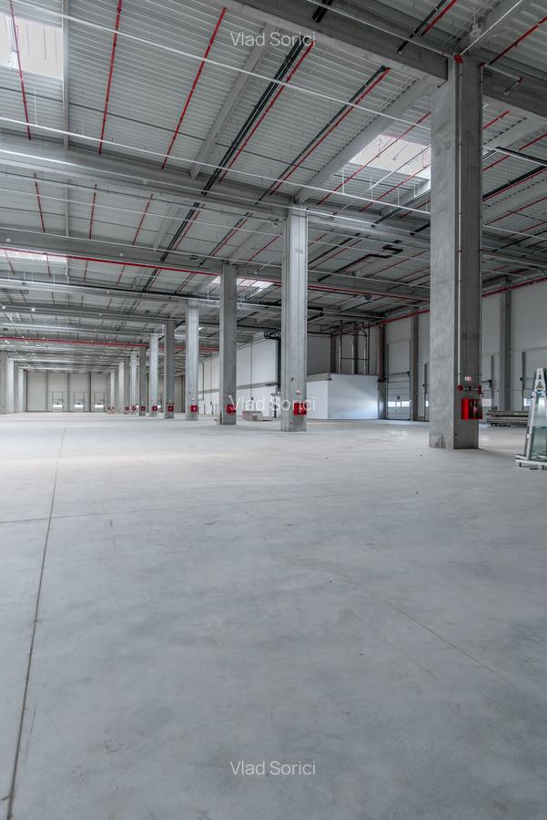 Depozit Hala Autorizata ISU 600 mp -15000 mp - 8 Depozit Hala Autorizata ISU 600 mp -15000 mp - 8