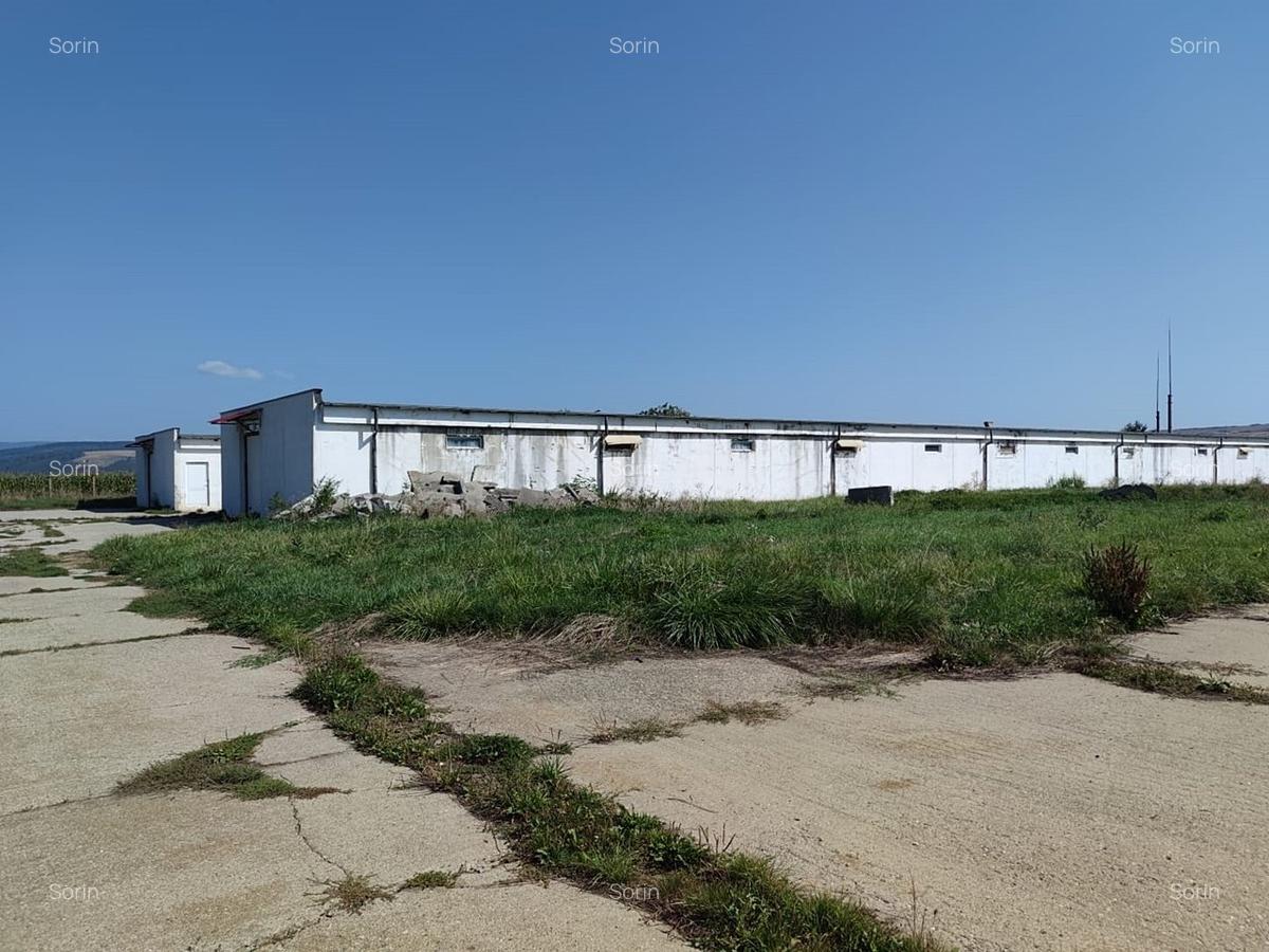 Spatiu productie/ depozitare, 600 mp, Brasov - Bod. - 3