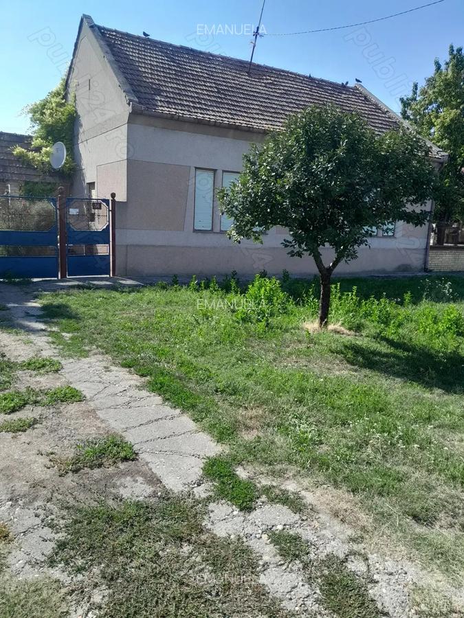 Vind Casa in Serbia 10 km de grani?a cu Jimbolia - 2