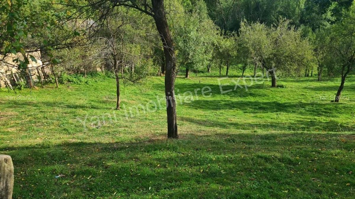 Teren de vanzare in comuna Arefu, sat Arefu, jude? Arge?. - 12