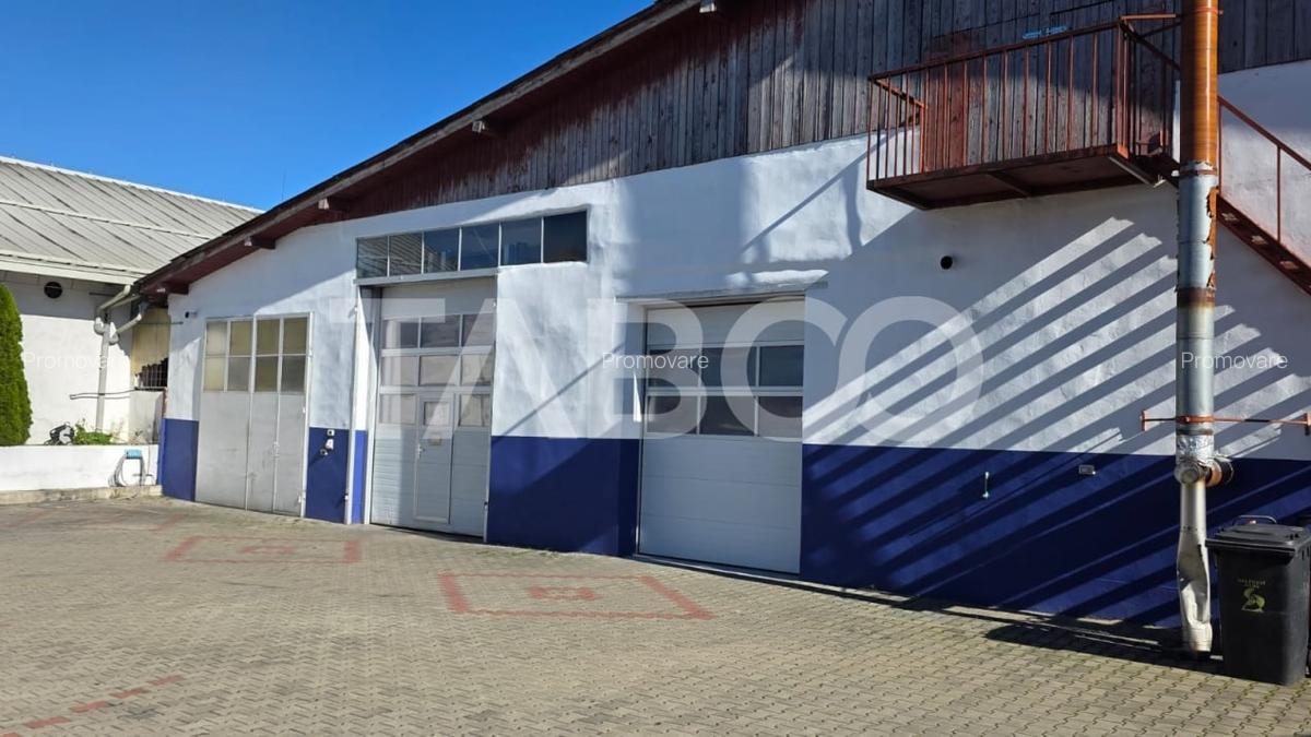 Spatiu industrial de 300 mp de inchiriat in Sebes Alba - 8