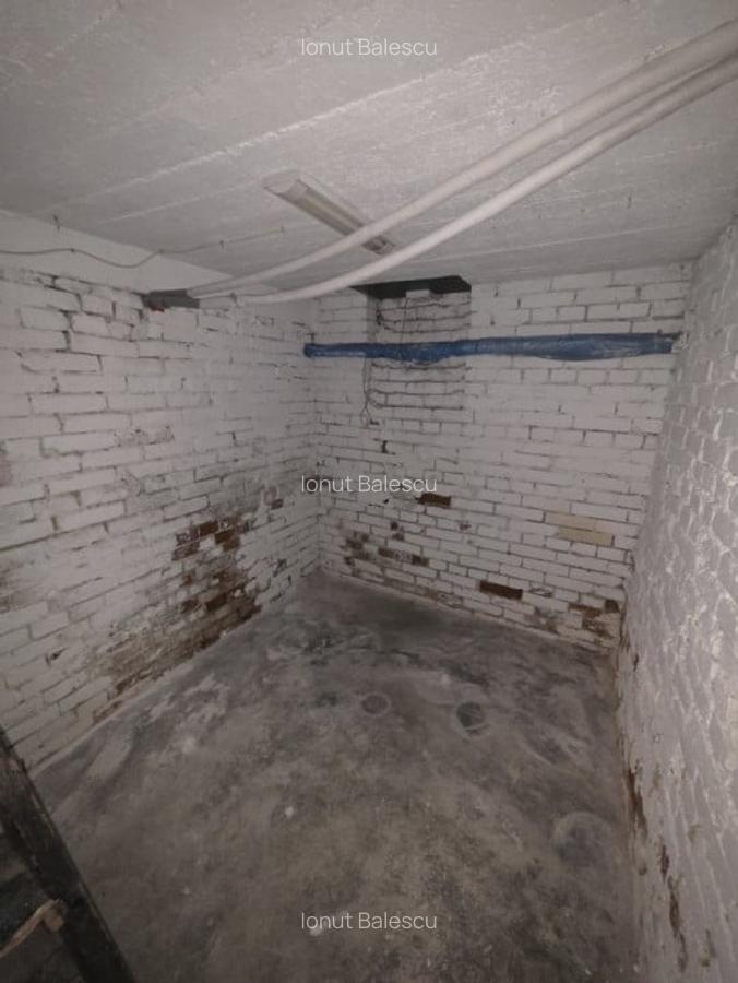 Inchiriere Spatiu Comercial Vasile lascar Dacia - 3