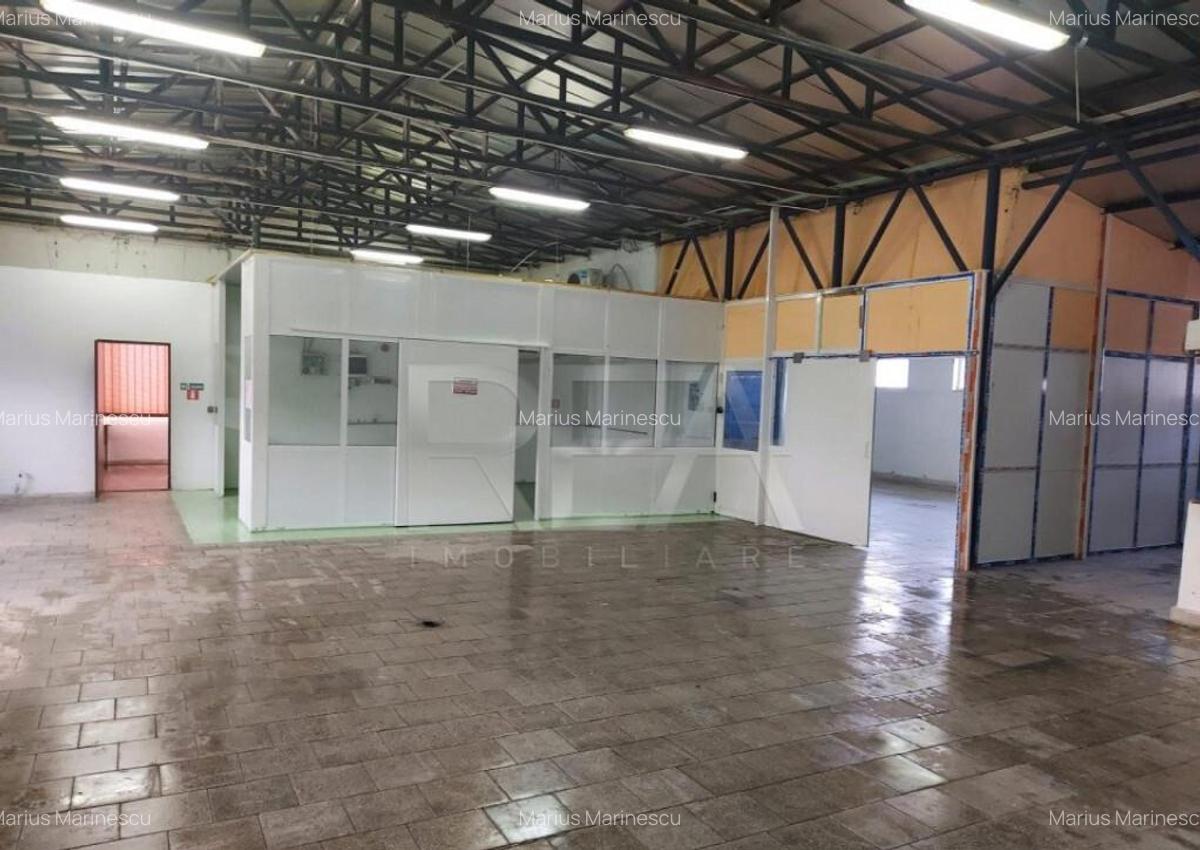 Hala 450 mp depozit / productie Sos Giurgiului (Arteca) - 7