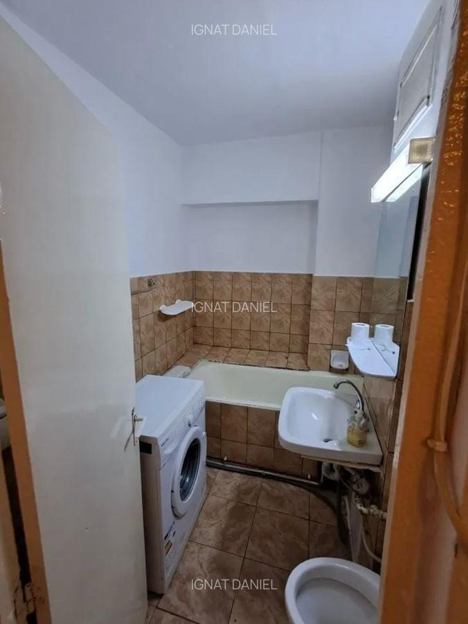 Apartament cu 1 camera, PET FRIENDLY, zona Tatarasi - 5