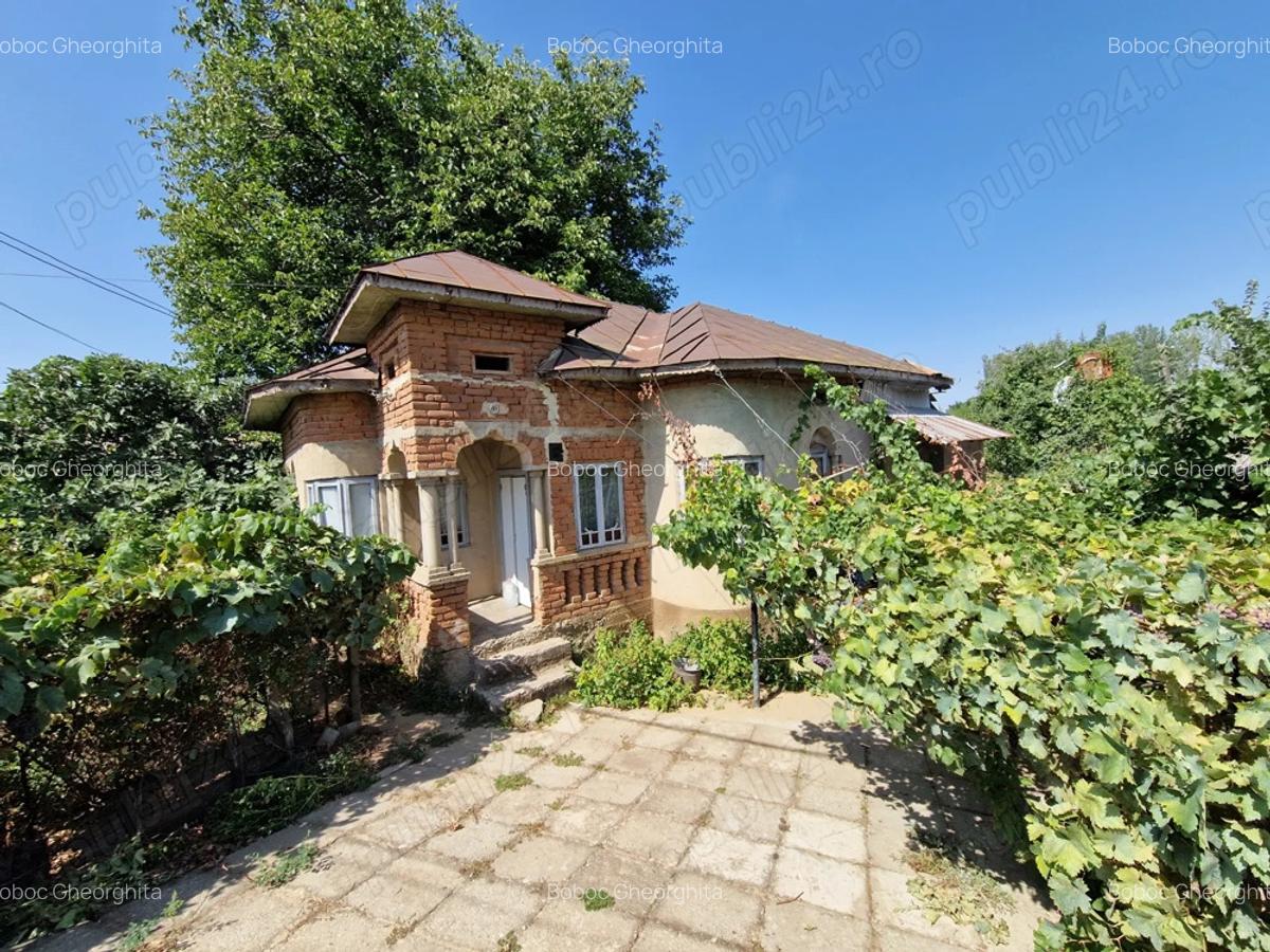 Casa + curte 900m2, comuna Daneti, jud Dolj - 4