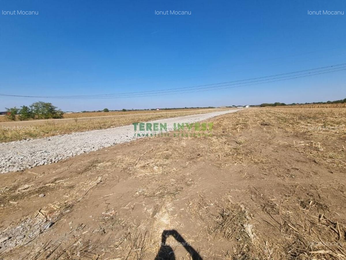 Teren industrial   Popesti, 10.800 m2, utilitati gaz si curent - 1