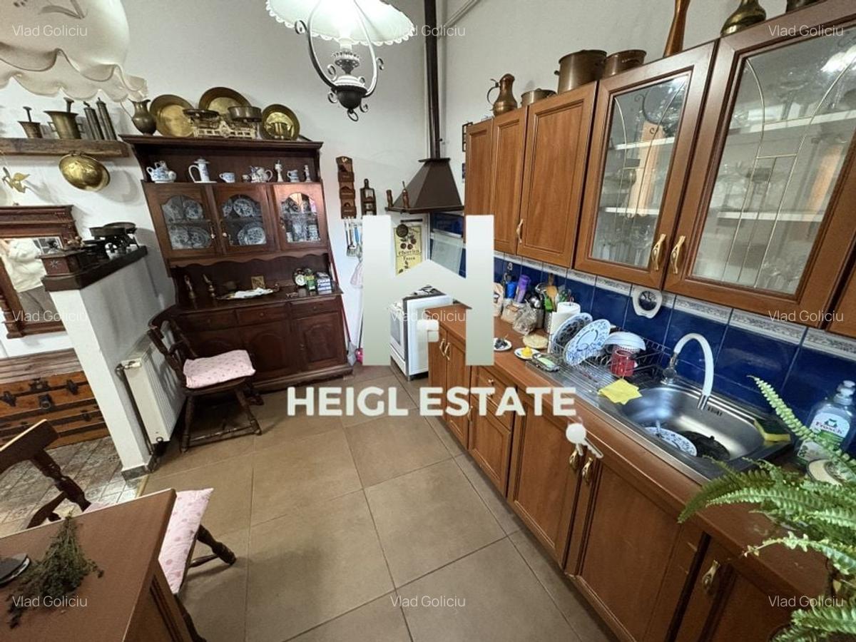 Apartament 3 camere Iosefin - 10