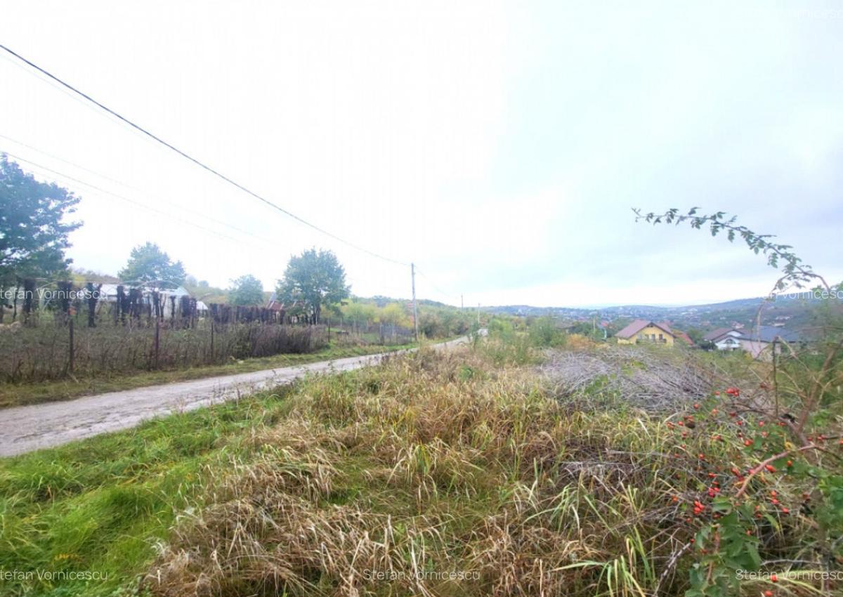 Teren de vanzare Barnova, cu priveliste Vanzare imediata - 2