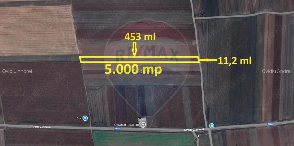 Teren Extravilan 5.000 mp Tarlungeni / Strada Zizinului - 1