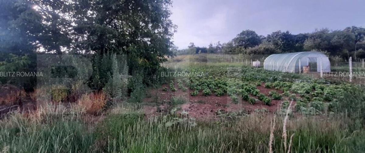 Casa de vanzare Cri?telec - 6