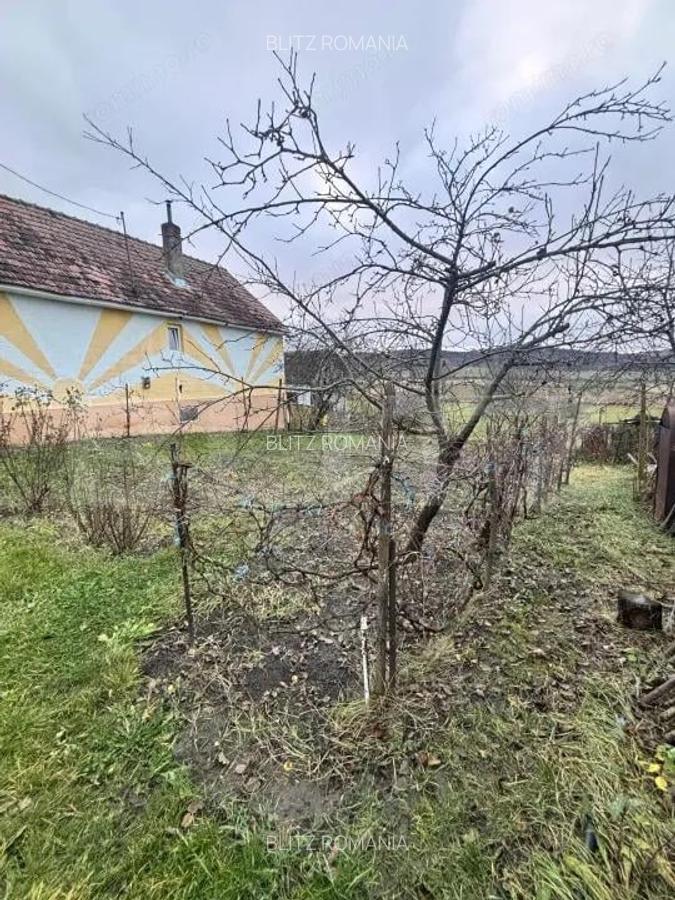 Casa tradi?ionala batraneasca in Galatii Bistri?ei, cu teren generos ?i anexe - 12