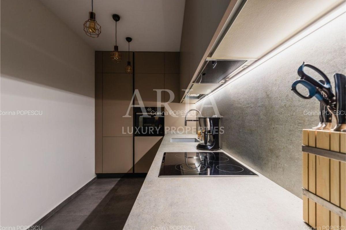 Apartament cu 2 camere decomandat, mobilat în Herăstrău - 6
