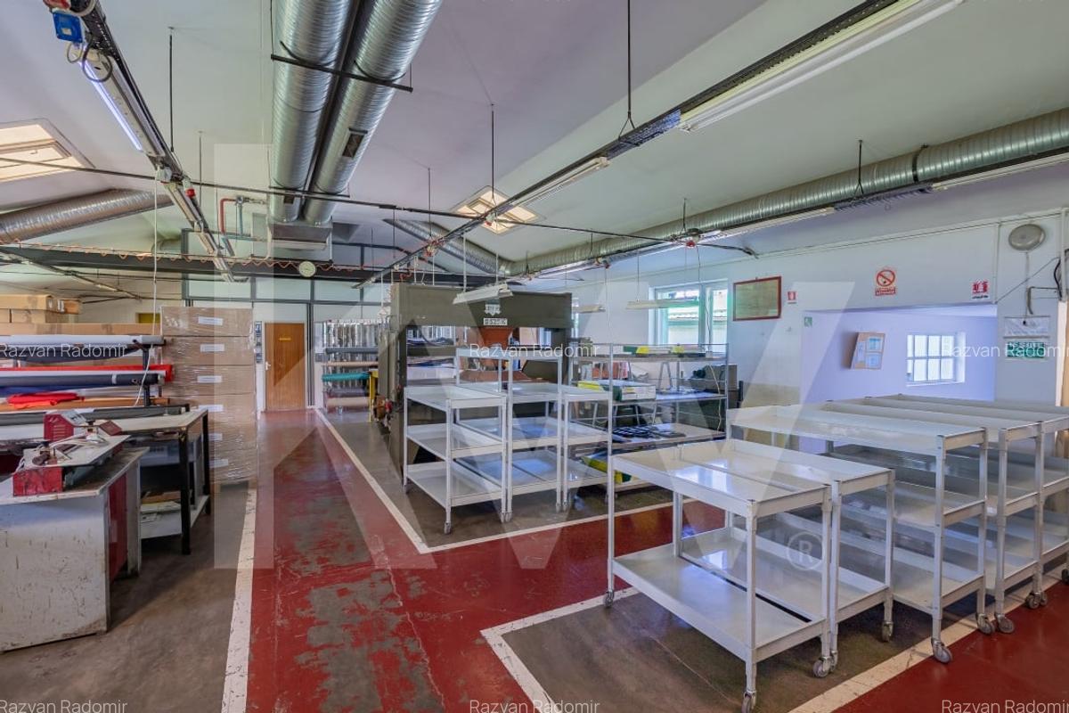 Hala industriala de productie, functionala, 790mp, Rahau, Sebes - 4