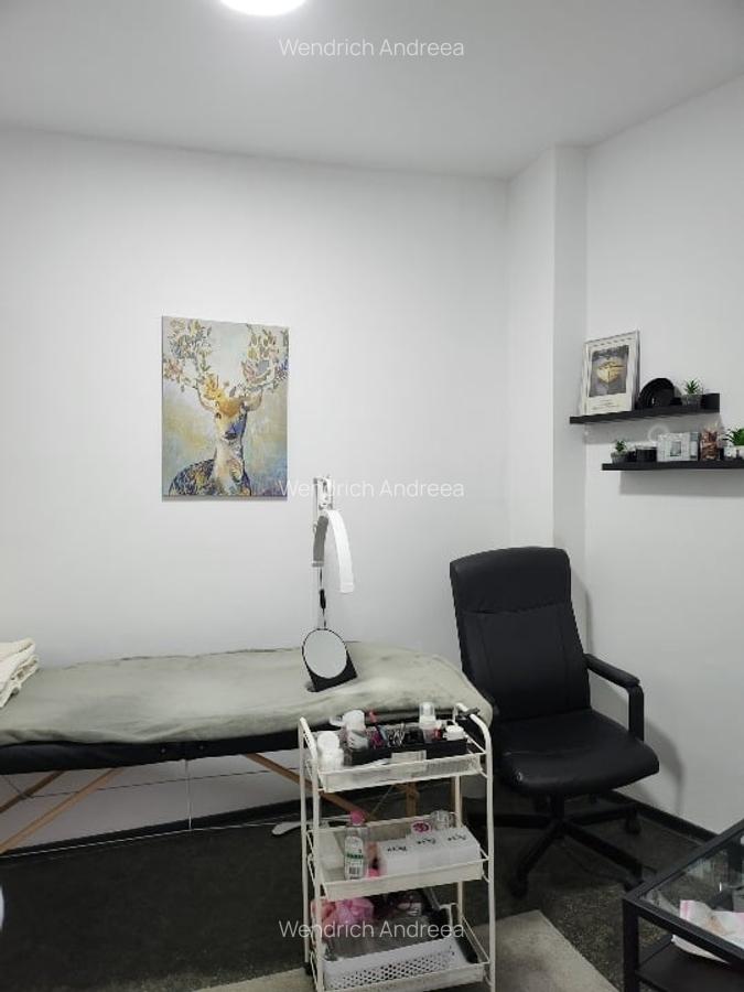 Vanzare apartament in vila ultracentral - 5