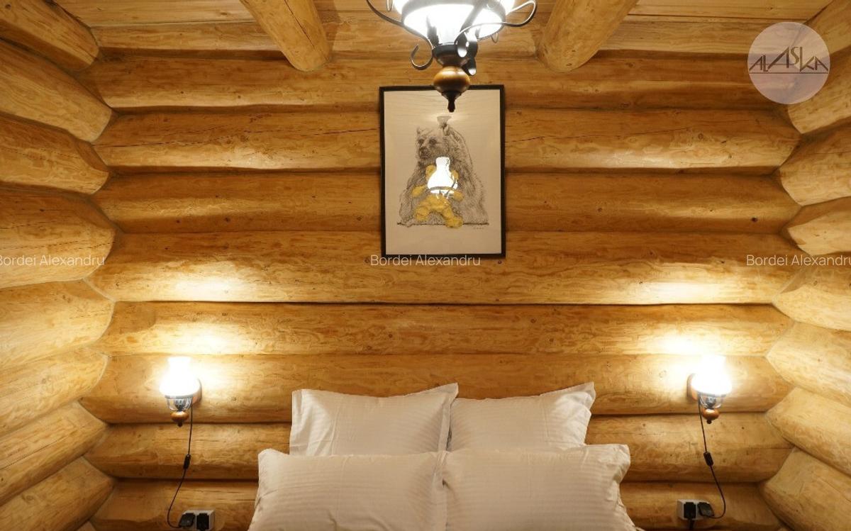 Cabana spectaculoasa de inchiriat - 3