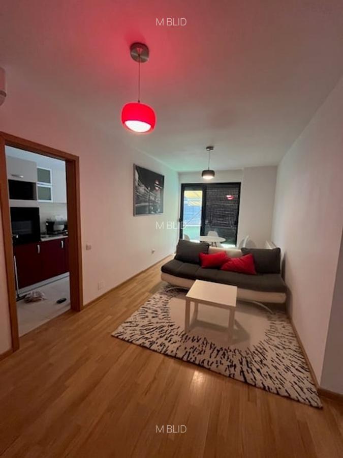 Apartament 2 camere cu terasa - 4