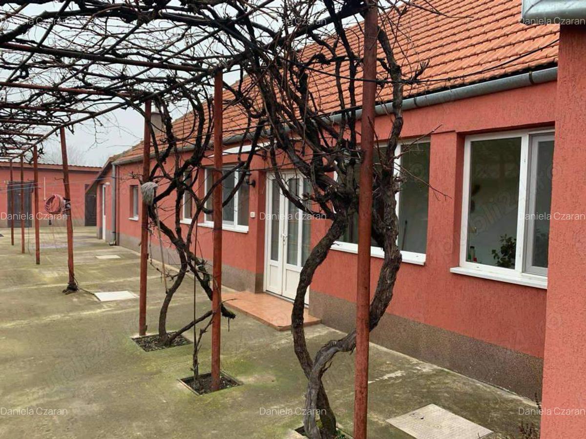 Casa de vanzare in Hodoni jud Timis - 4 Casa de vanzare in Hodoni jud Timis - 4