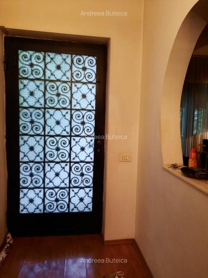 Casa in Cartierul Armenesc - curte individuala - 11