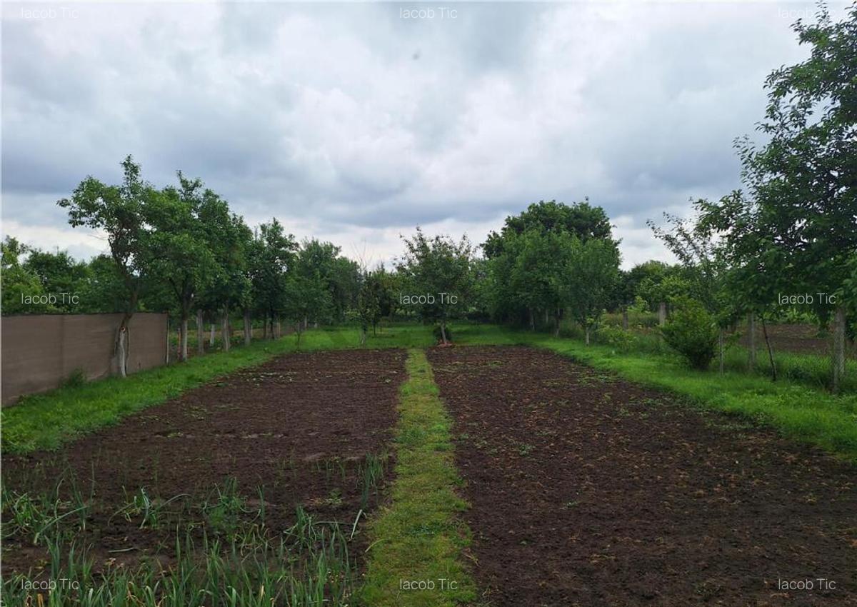 Reco, casa gepiu - 6