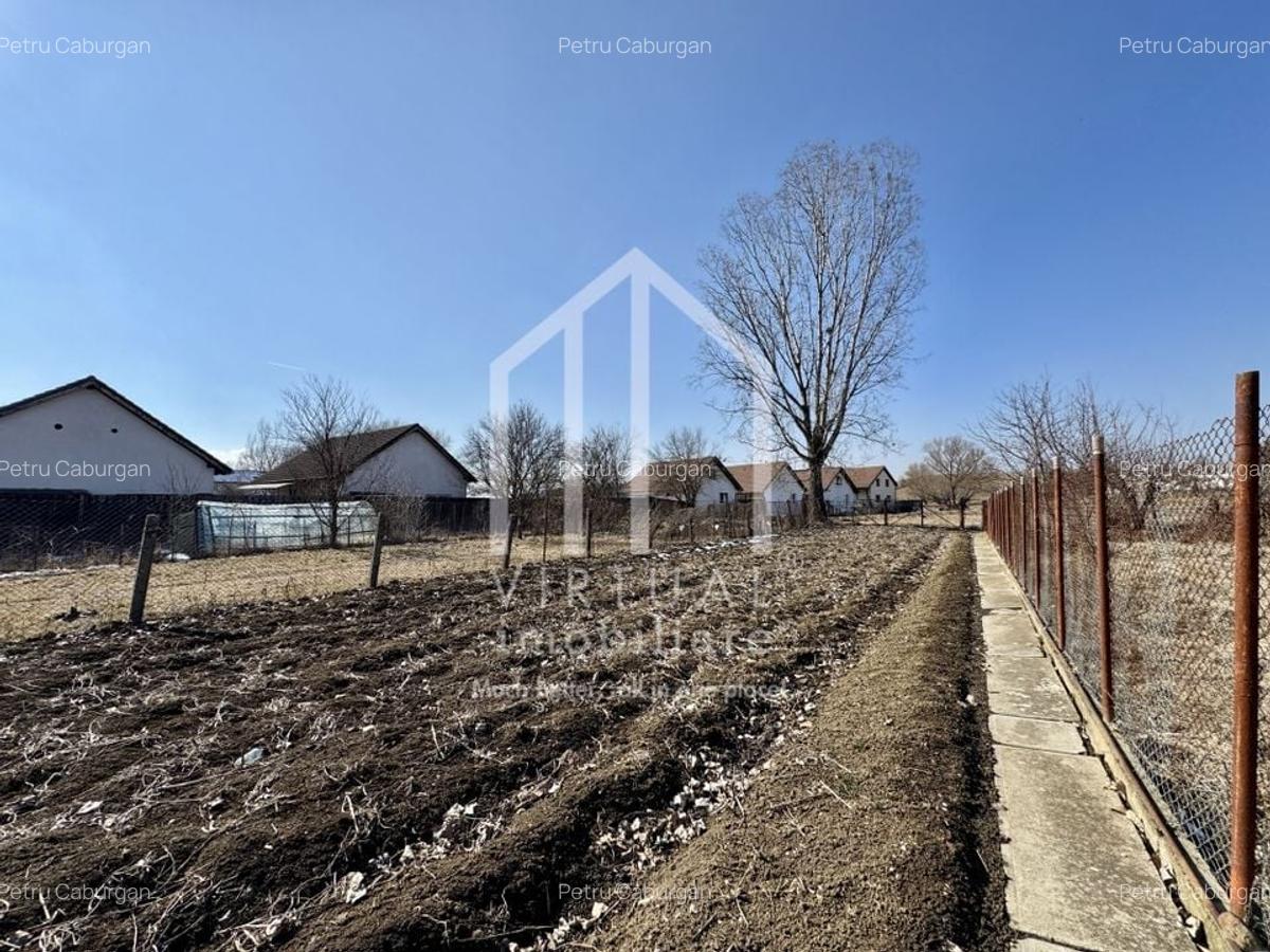 Casa individuala cu teren de 820mp, 3 camere, pivnita, pod, Turnisor - 33