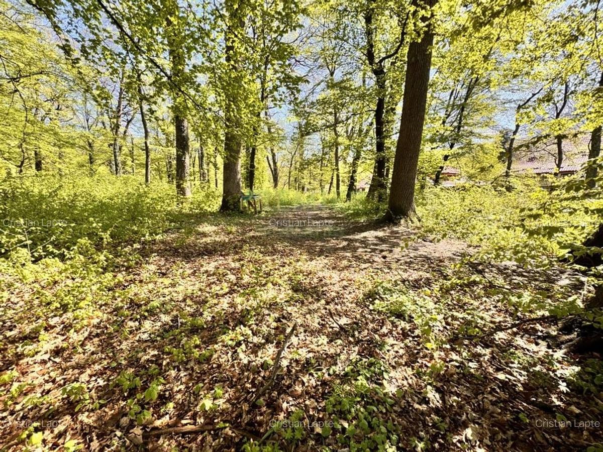 TEREN 7000 MP| DESCHIDERE 40 ML | INTRAVILAN-PADURE | POT 5% | TEREN UNIC | - 7