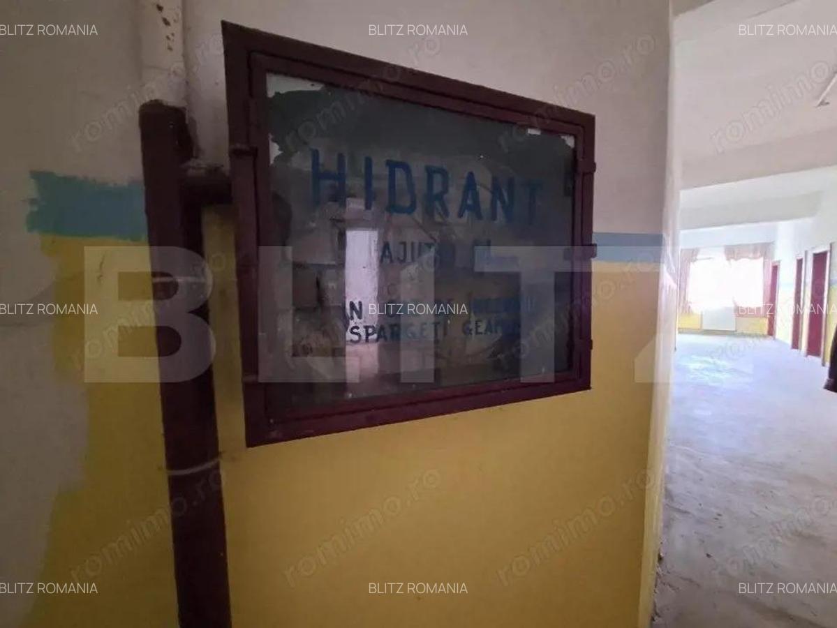 Proprietate de cazare, spatii comerciale, Lugoj - 14
