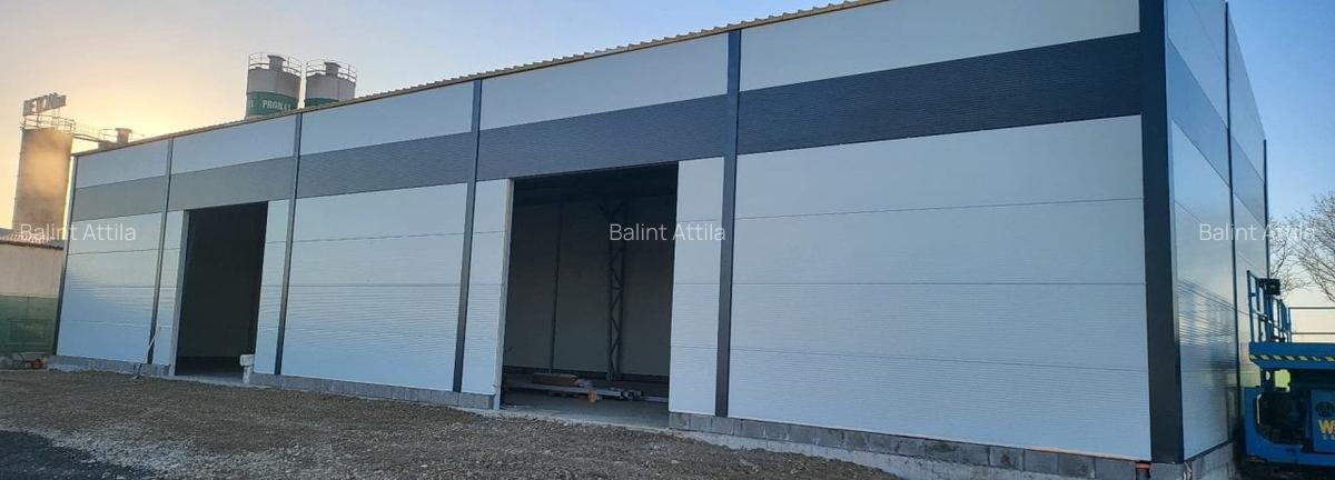 Giarmata Mare hala noua 2300 euro - 5