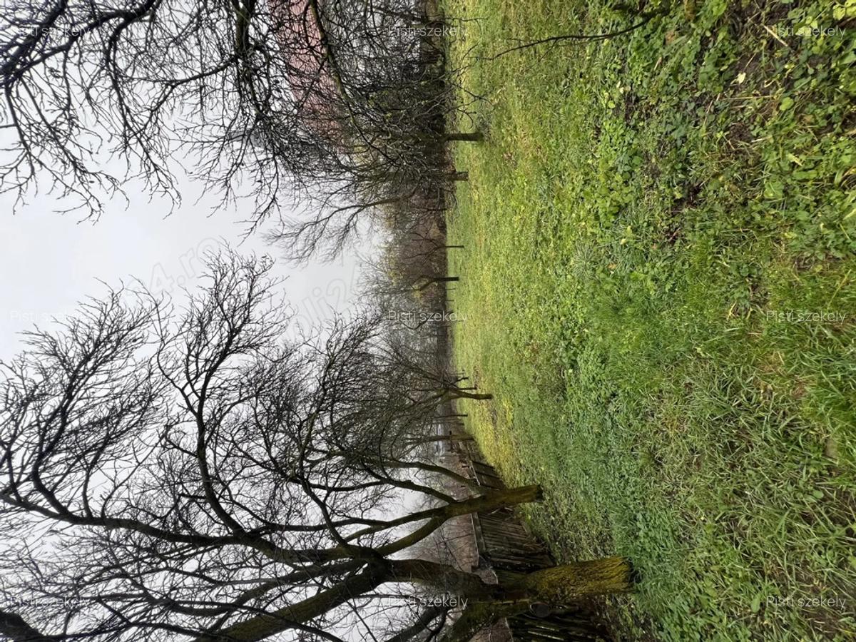 Se vinde casa parinteasca sat. Vechea com. Chinteni - 9