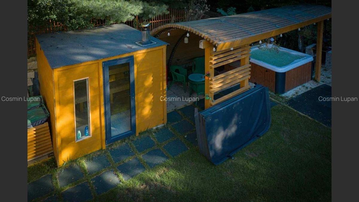 Casa de vacanta superba in Crivaia - 18