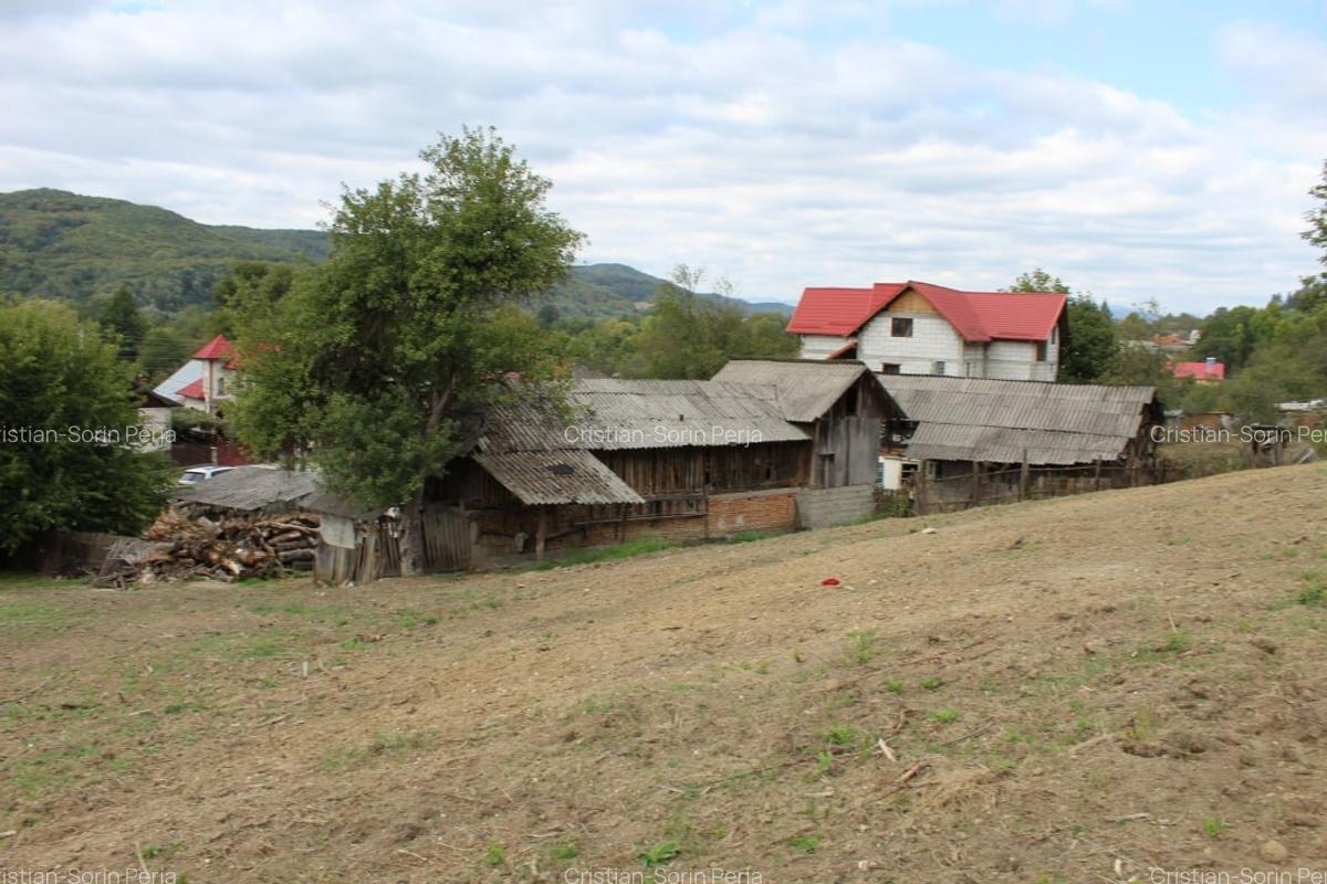 Casa si teren 5.000 mp, Stroesti - 12