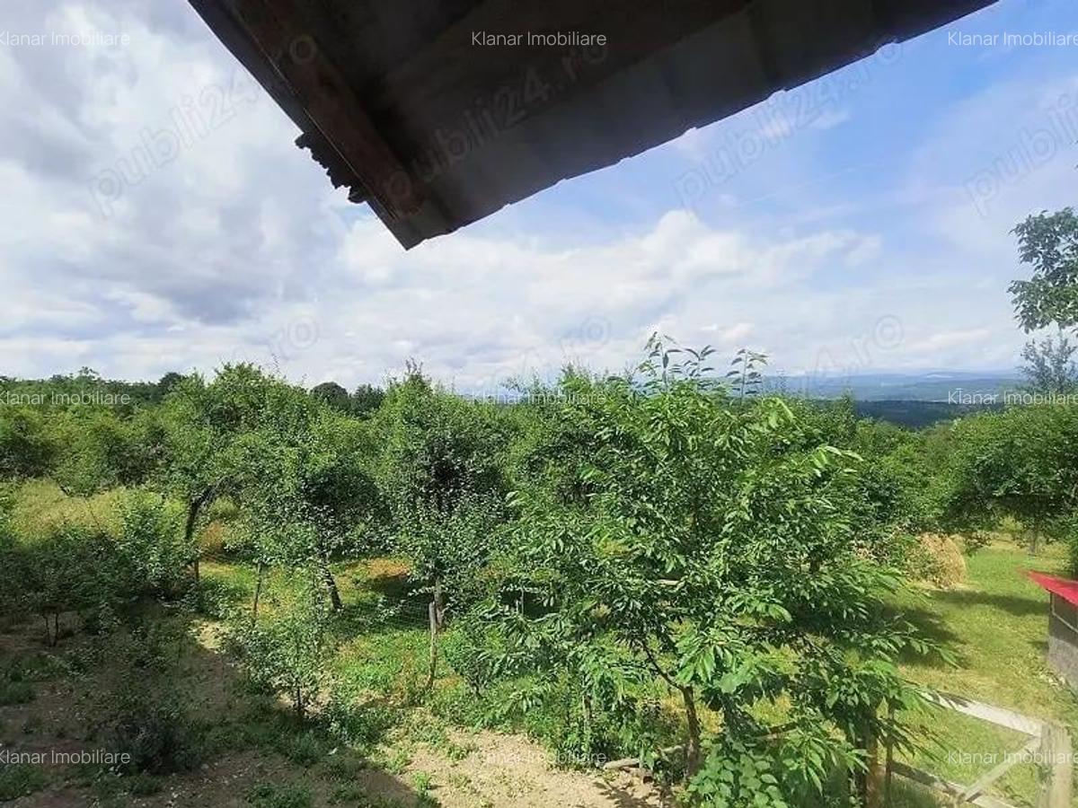 Teren 6926 mp de vanzare in Valea Danului jud Arges - 2